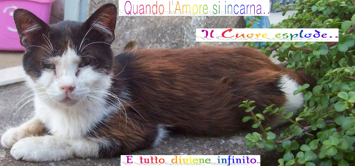 Quando l'Amore si incarna.. Un Applauso all'Amore 