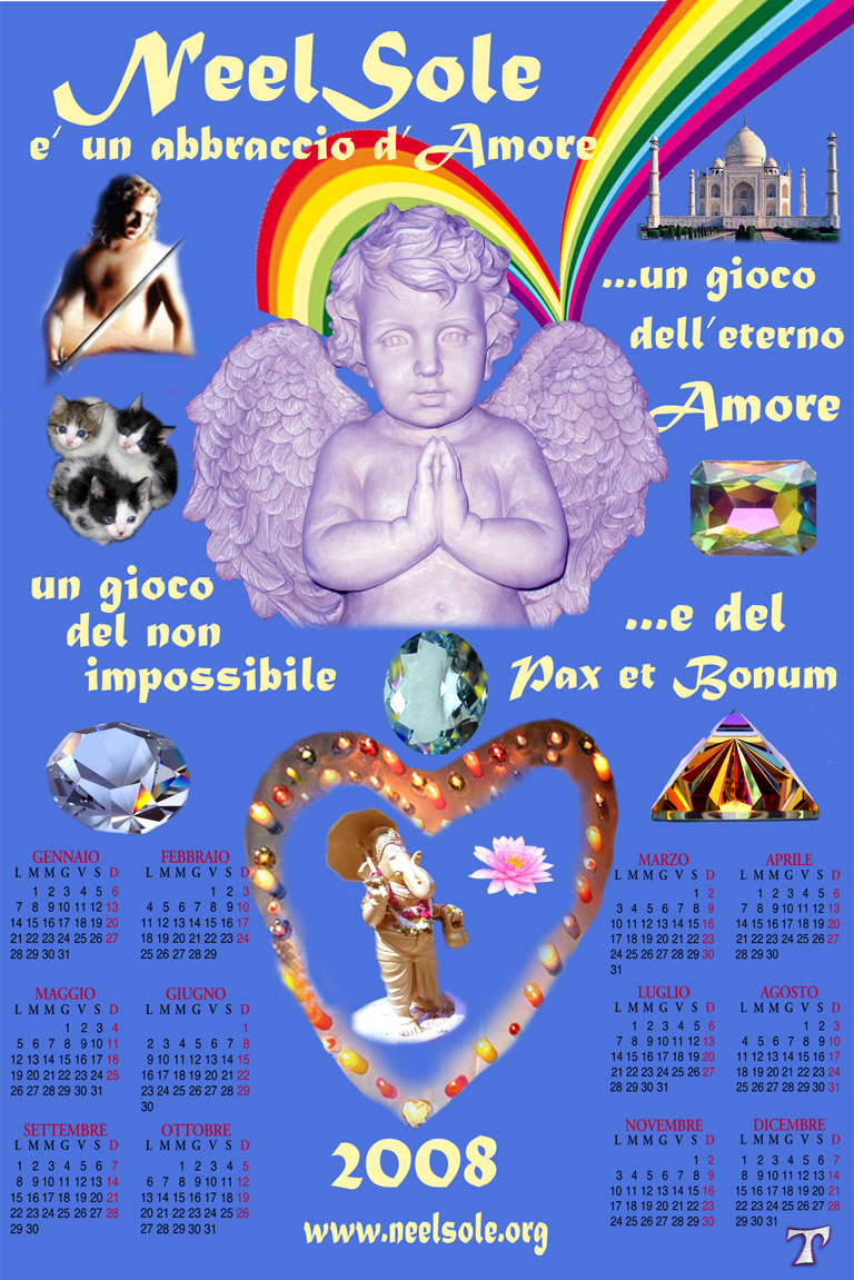 NeelSole, Calendario 2008